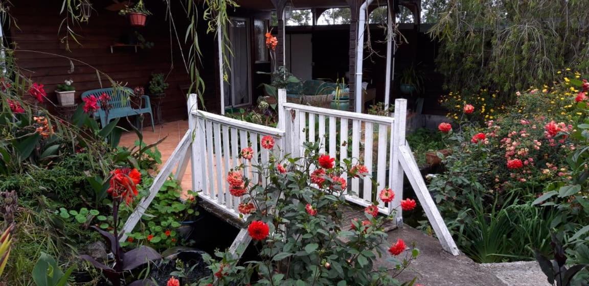 Au Fruit Delicieux La Plaine des Cafres Exterior foto